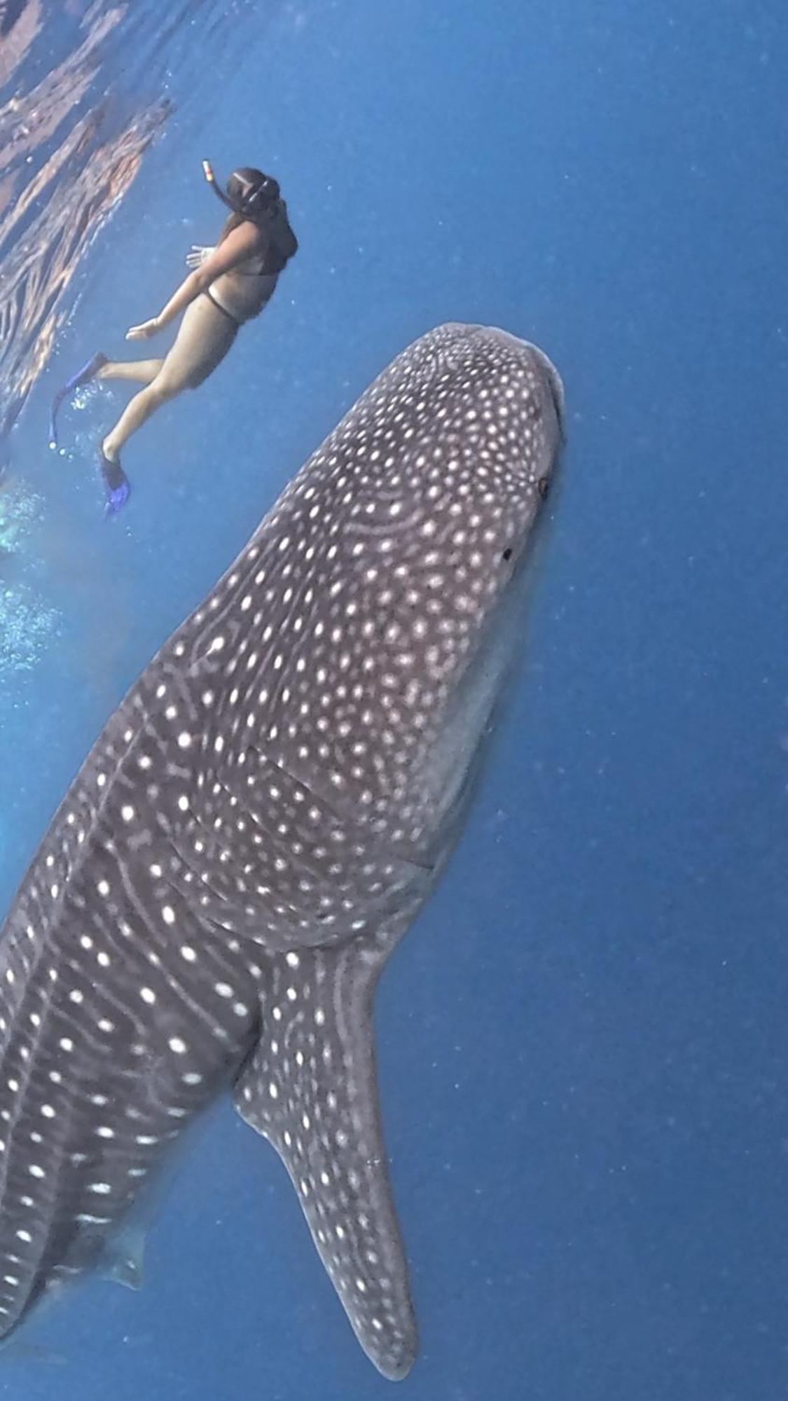 Sands Grand Dhigurah  Dış mekan fotoğraf